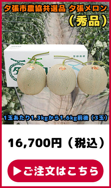 ���I�i �[�������� �G�i 3��