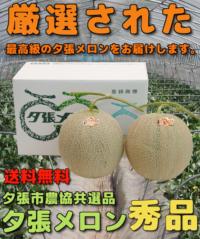 �������� �[�������� �[���s�_�� ���I�i �G�i