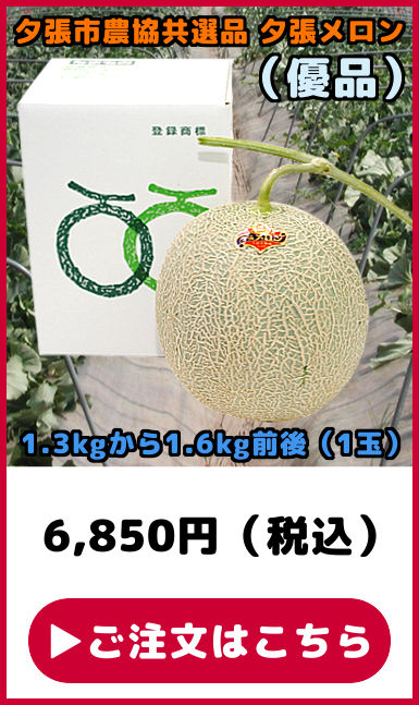 ���I�i �[�������� �D�i 1��