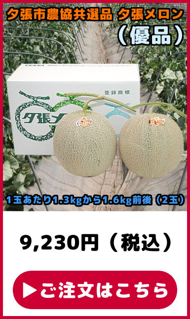 ���I�i �[�������� �D�i 2��