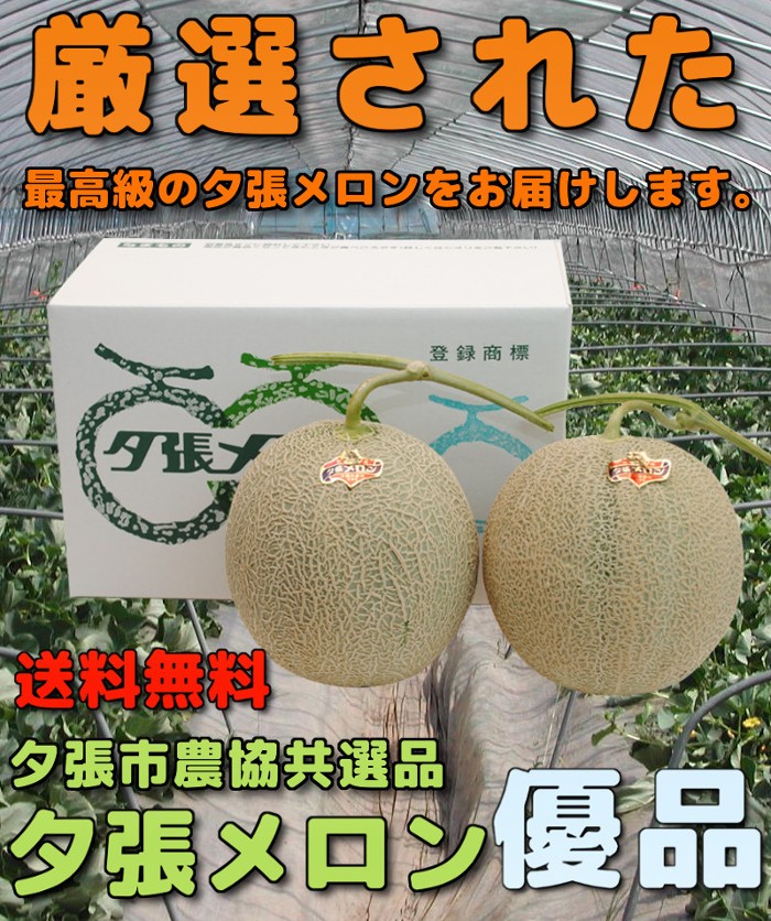 �������� �[�������� �[���s�_�� ���I�i �D�i