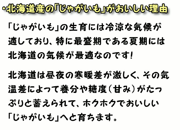 �E�k�C���Y�� ���Ⴊ���� �������������R