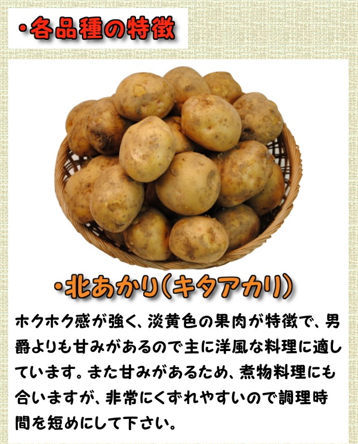 �E�e�i��̓��� �k������ �L�^�A�J�� ����������