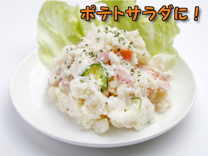 �|�e�g�T���_�ɁI