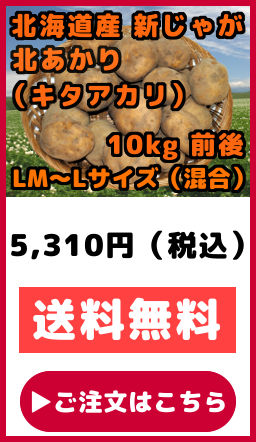 �k�C���Y ���Ⴊ���� �V���Ⴊ���� �k������ �L�^�A�J�� ���������� LM�T�C�Y ���� L�T�C�Y ���� 10kg�O��