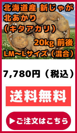 �k�C���Y ���Ⴊ���� �V���Ⴊ���� �k������ �L�^�A�J�� ���������� LM�T�C�Y����L�T�C�Y ���� 20kg�O��