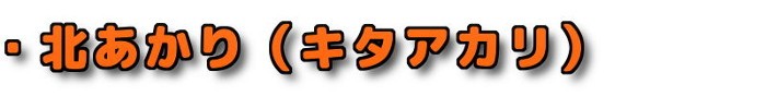 �E�k�C���Y �V���Ⴊ���� �k������ �L�^�A�J�� ����������