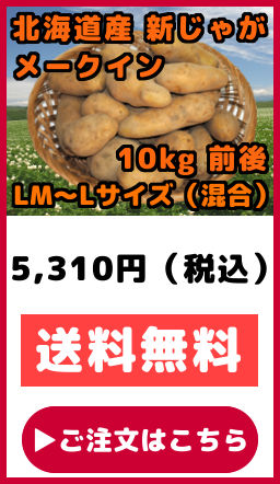 �k�C���Y ���Ⴊ���� �V���Ⴊ���� ���[�N�C�� LM�T�C�Y ���� L�T�C�Y ���� 10kg�O��