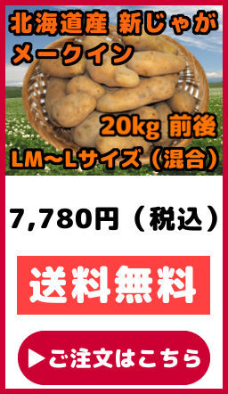 �k�C���Y ���Ⴊ���� �V���Ⴊ�������[�N�C�� LM�T�C�Y ���� L�T�C�Y ���� 20kg�O��