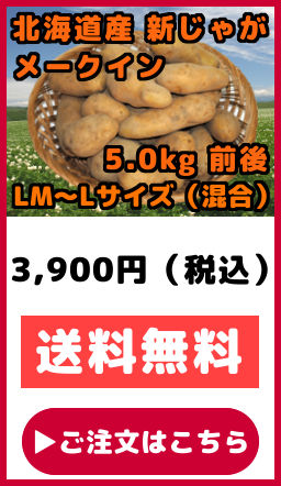 �k�C���Y ���Ⴊ���� �V���Ⴊ���� ���[�N�C�� LM�T�C�Y ���� L�T�C�Y ���� 5kg�O��