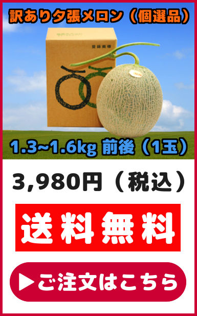 訳あり夕張メロン（個選品）｜お店のカテゴリ｜夕張商店ネット