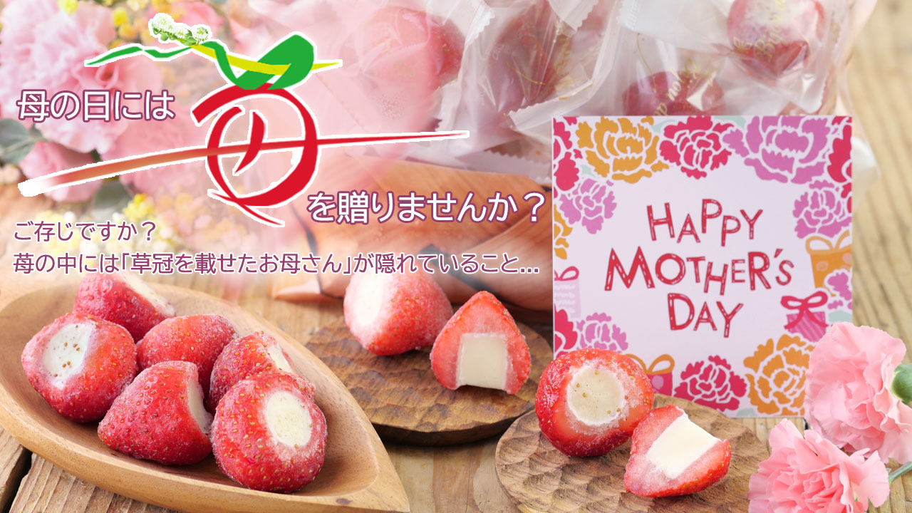 母の日特集