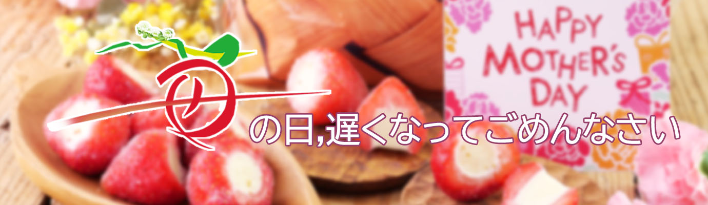 母の日おそくなってごめんなさい
