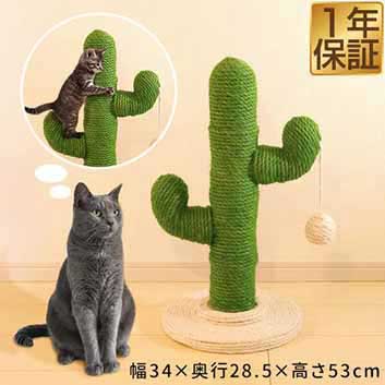 猫 爪とぎ ポール サボテン型 麻縄巻き 高さ約53cm 据え置き 天然 麻巻き 麻 ねこ つめとぎ ネコ 爪とぎポール 支柱 爪研ぎ 爪磨き スト