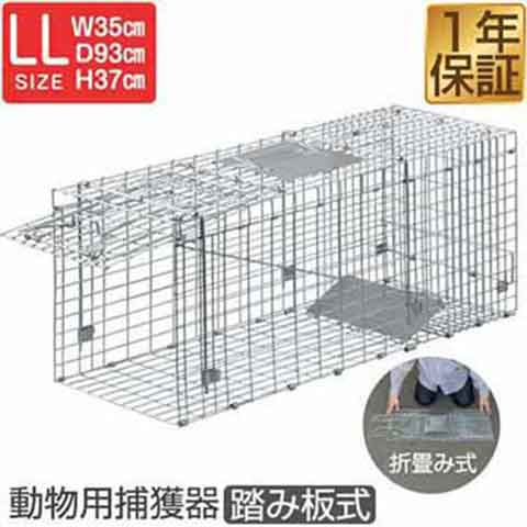 [こんな商品をお探しの方に] 猫 ネコ ねこ 飼い猫 迷子猫 迷い猫 子猫 ペット 脱走 保護 確保 保護猫 野良猫 ノラ猫 野良猫TNR TNR TNR活動 小動物 動物 家畜 害獣 野生動物 イタ