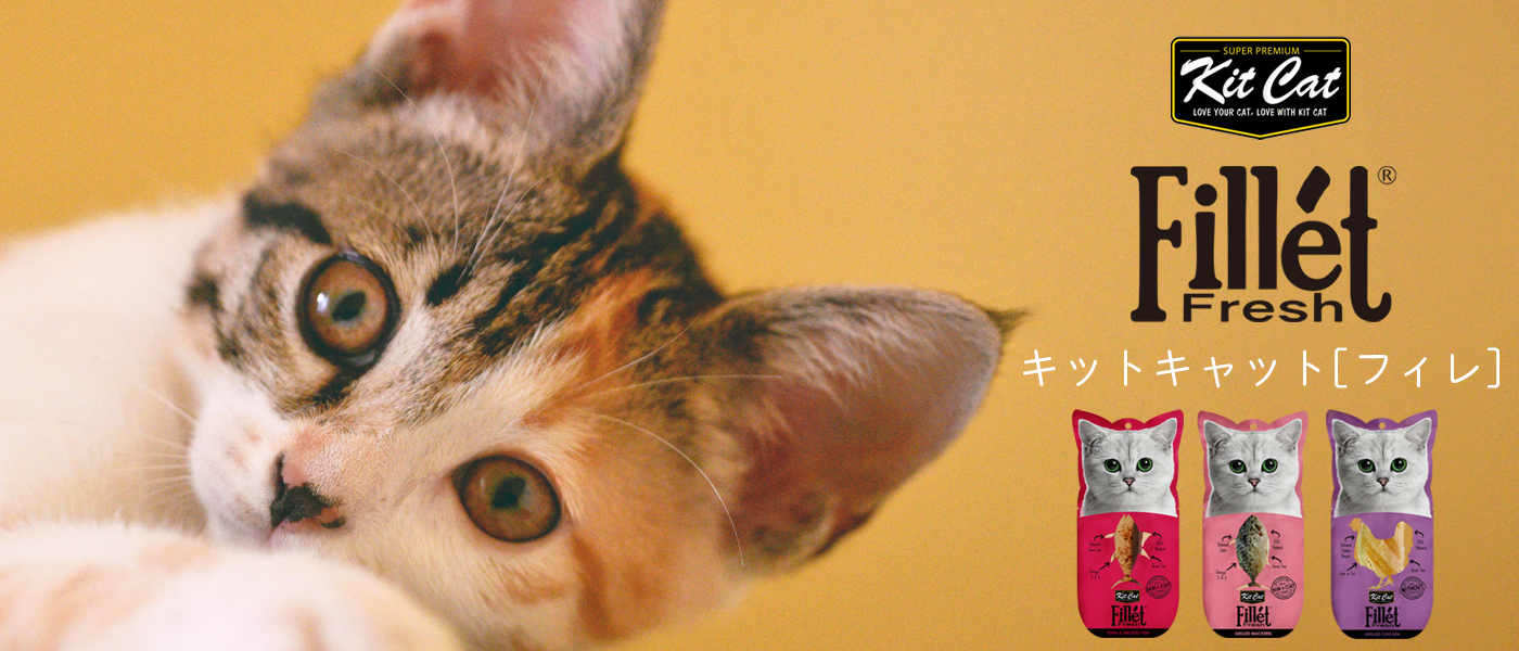 �L�b�g�L���b�g�@�t�B��