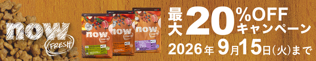 NOW FRESH 最大20%オフキャンペーン開催中!2026年9月15日ご注文分まで！