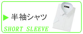 �������C�V���c