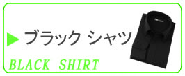 �u���b�N���C�V���c