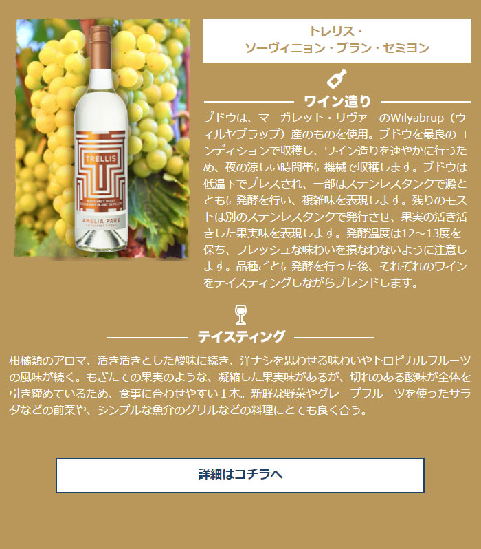 �g�����X�E�\�[���B�j�����E�u�����E�Z�~����