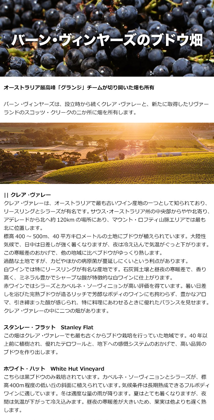 �o�[���E���B�����[�Y�̃u�h�E��