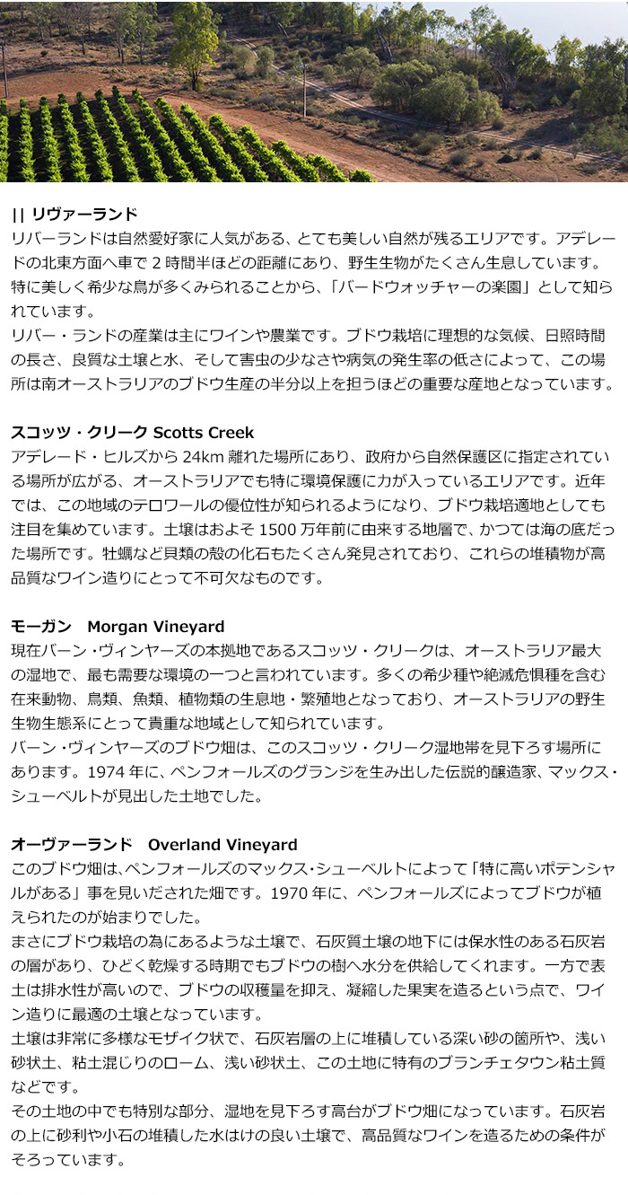 �o�[���E���B�����[�Y�̃u�h�E��