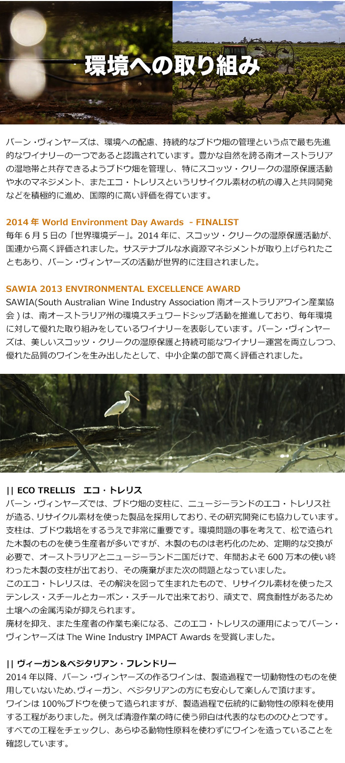 ���ւ̎��g��