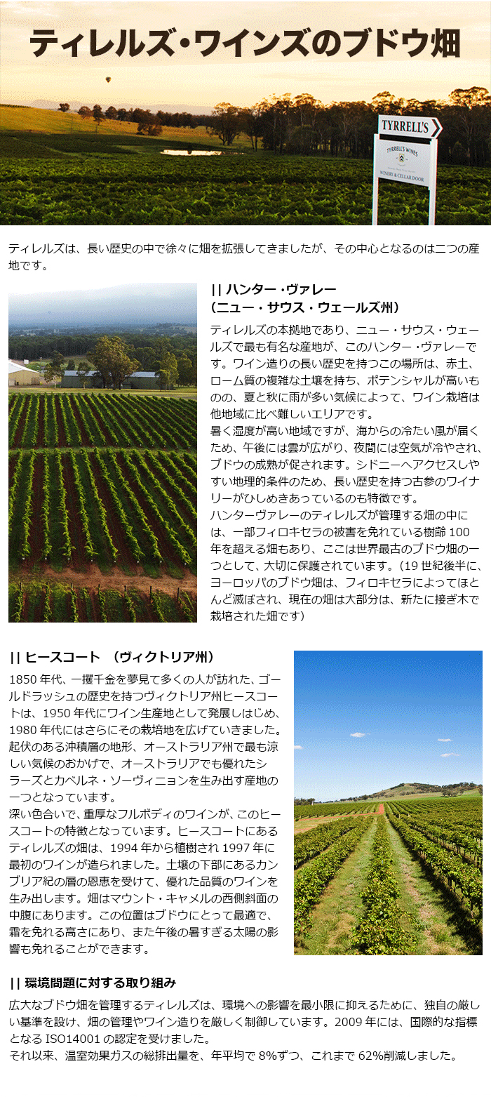 ティレルズ・ワインズのブドウ畑