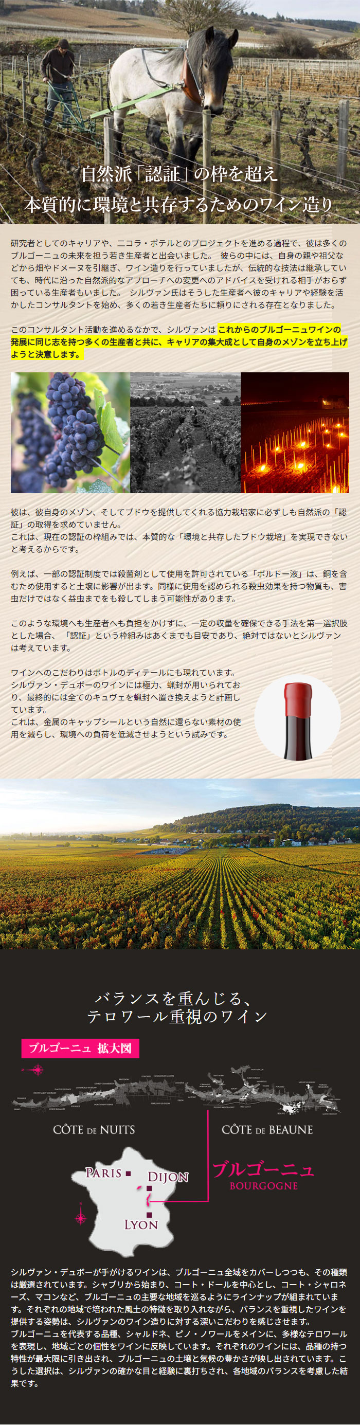 �o�����X���d�񂶂�A�e�����[���d���̃��C��