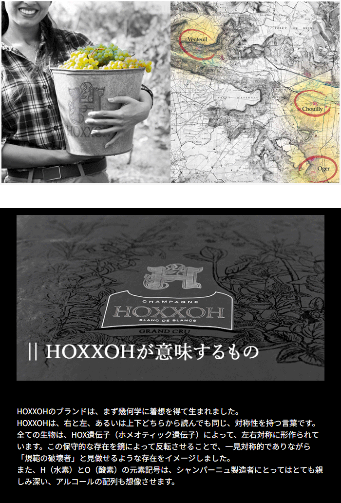 HOXXOH���Ӗ��������