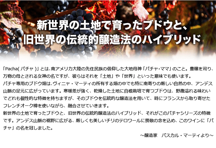 新世界の土地で育ったブドウと、旧世界の伝統的醸造法のハイブリッド