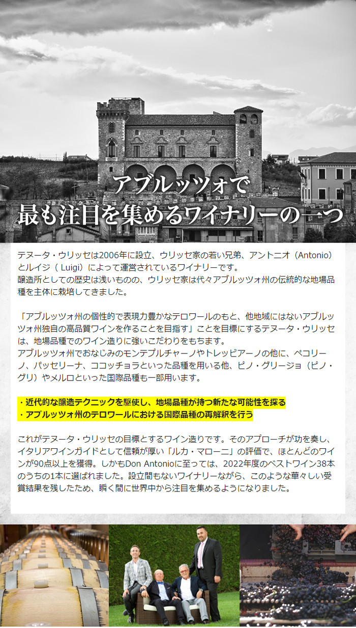 �A�u���b�c�H�ōł����ڂ��W�߂郏�C�i���[�̈��