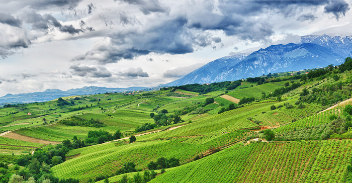 �R�ƊC�ɋ��܂ꂽ�y�n�@�A�u���b�c�H�B