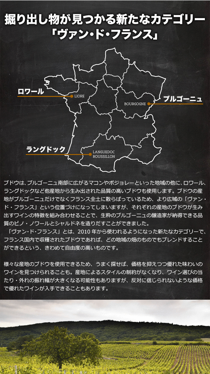 �@��o������������V���ȃJ�e�S���[�u���@���E�h�E�t�����X�v