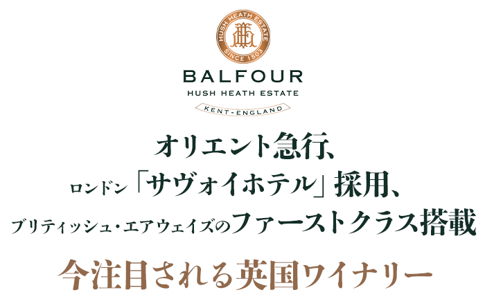 �����ڂ����p���ō���̃��C�i���[