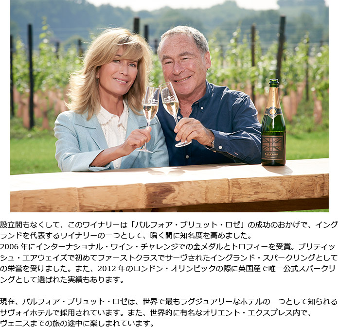 �����ڂ����p���ō���̃��C�i���[