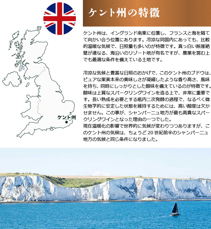 �P���g�B�̓���