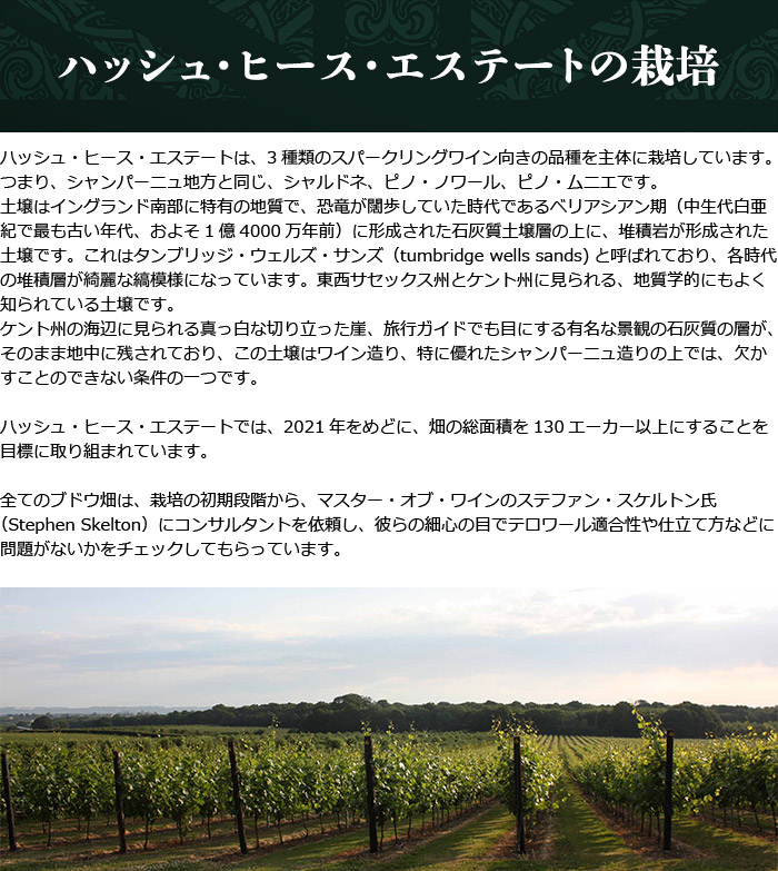 �n�b�V���E�q�[�X�E�G�X�e�[�g�͔̍|