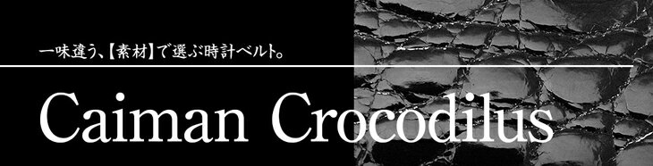 カイマンワニ(ワニ)