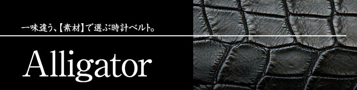 アリゲーター