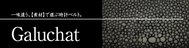 �K���[�V��