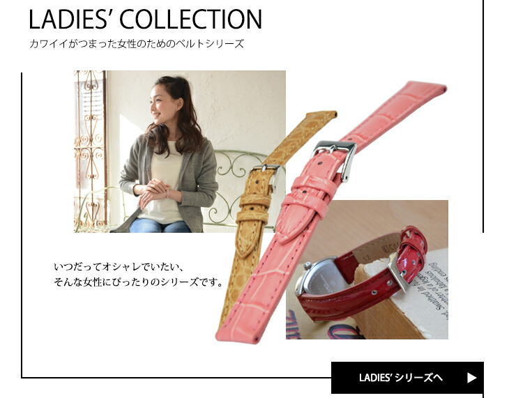 CASSIS LADIES' ���f�B�[�X�J�e�S���[�y�[�W��