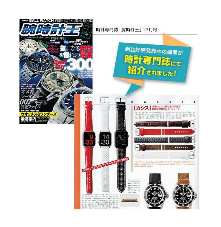 �u�r���v���v12�����Ɍf�ڂ���܂���