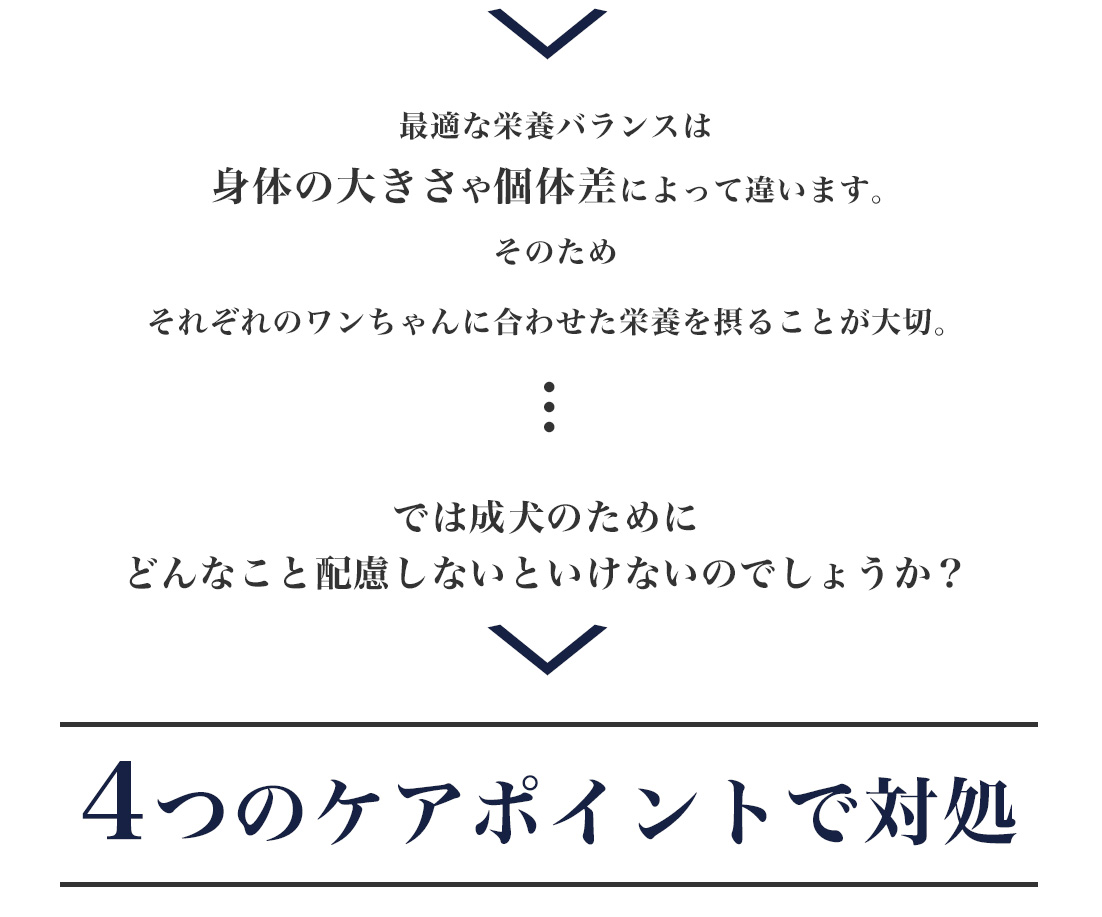 ���[�J�k�o�̂������2