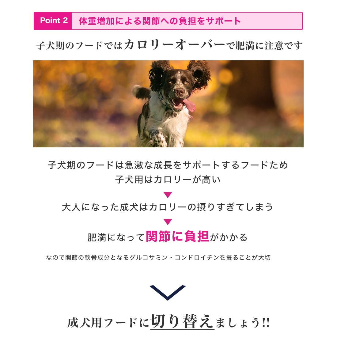 ���[�J�k�o�̂������4