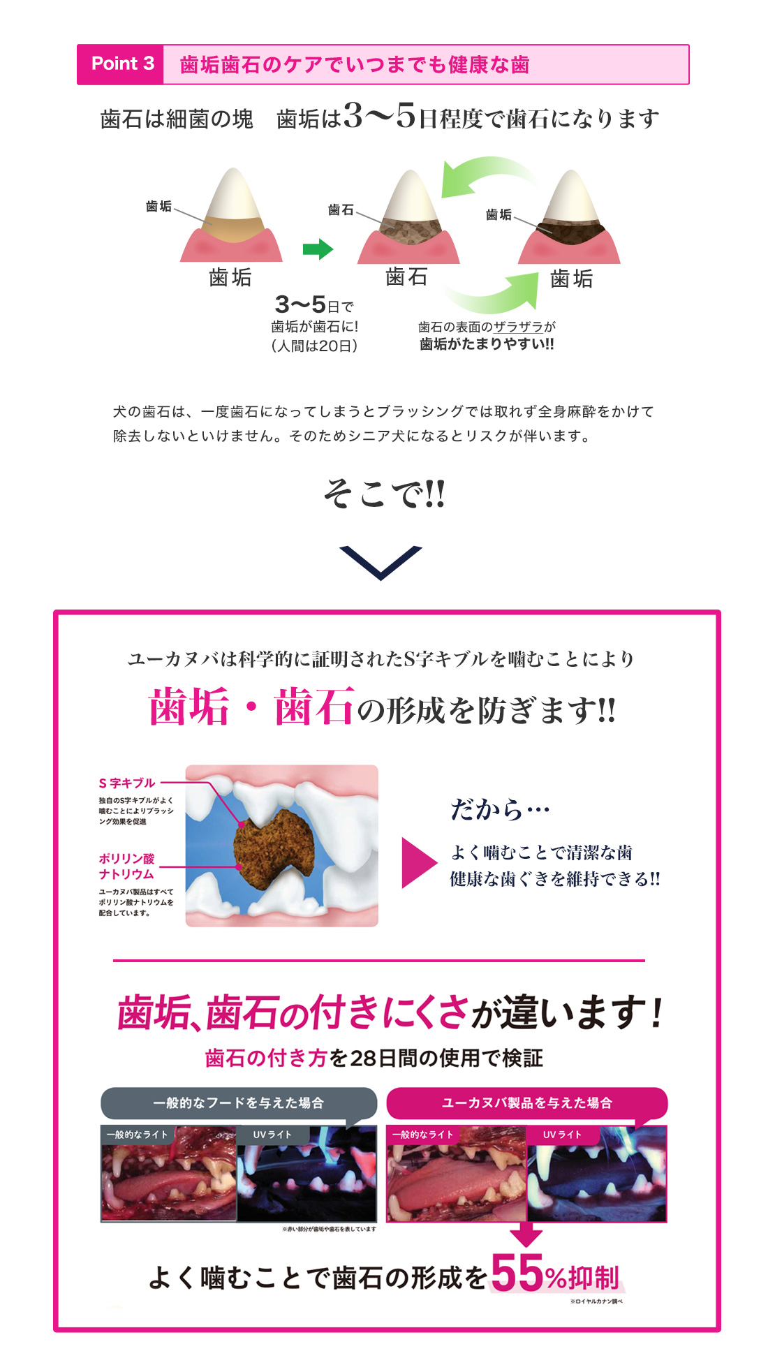 ���[�J�k�o�̂������5