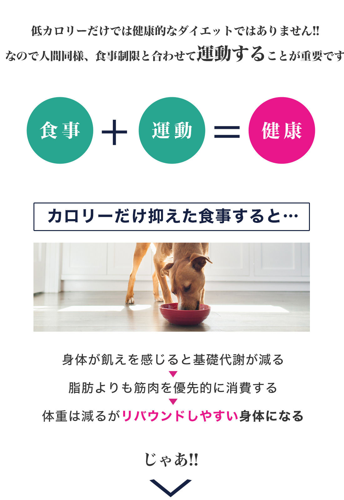 ���[�J�k�o�̂������2