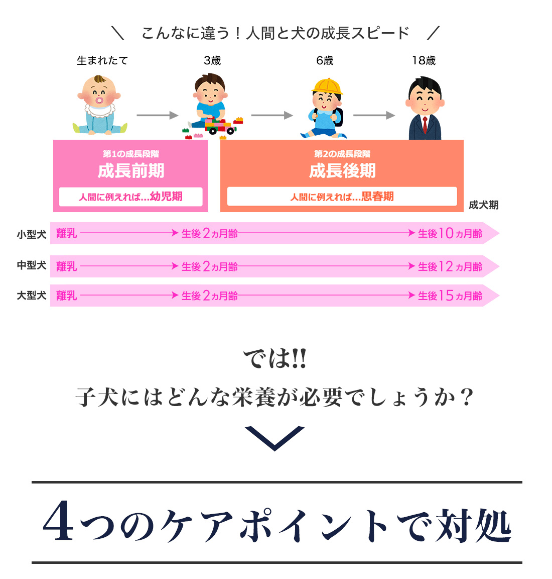 ���[�J�k�o�̂������2