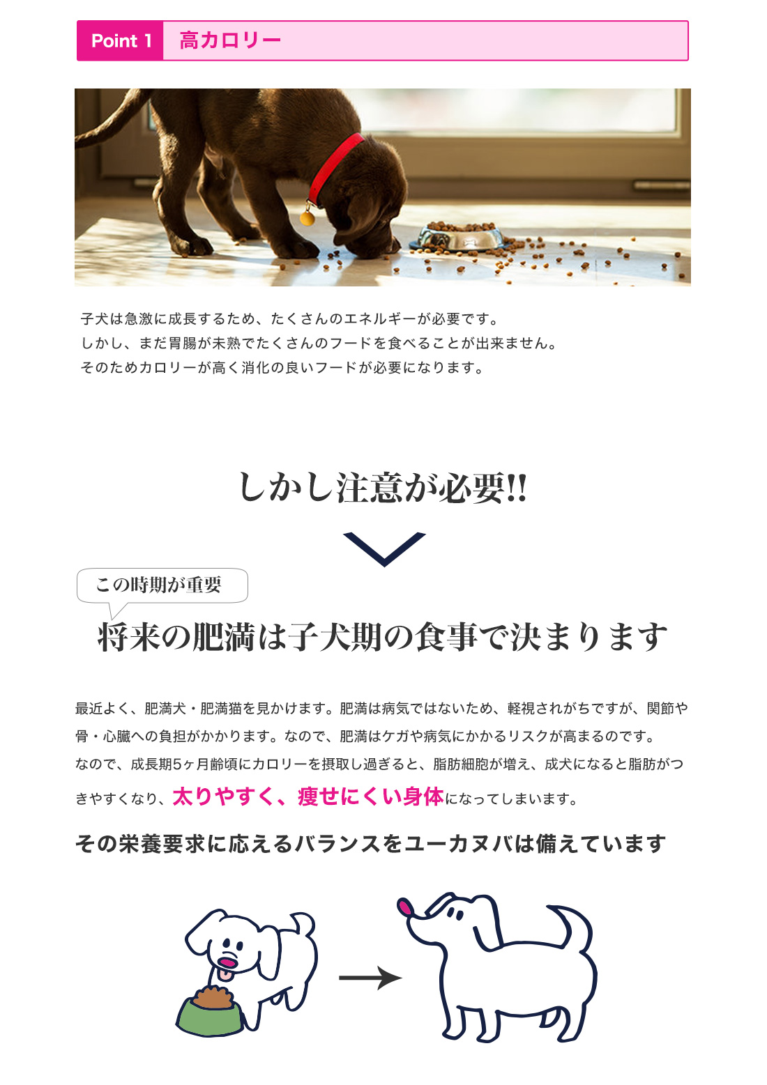 ���[�J�k�o�̂������3