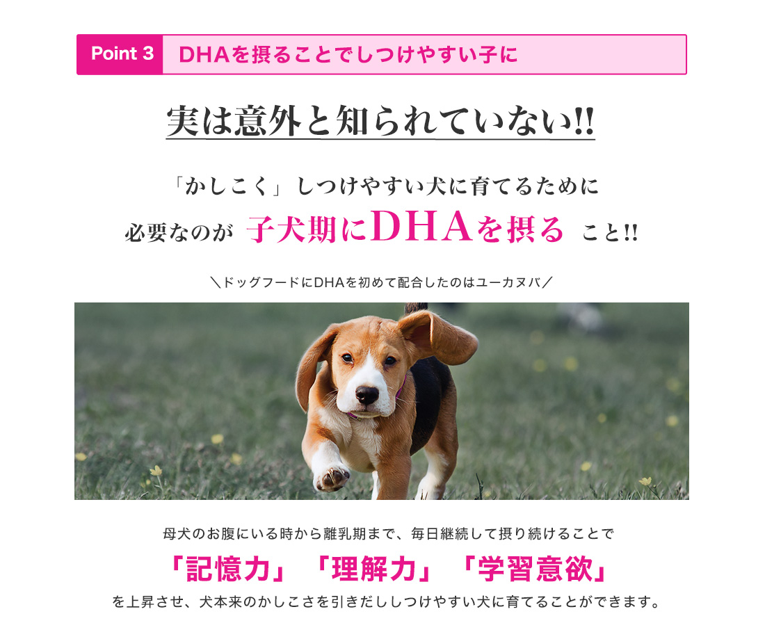 ���[�J�k�o�̂������5